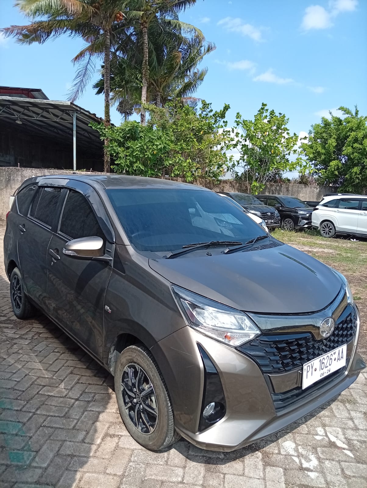 CALYA BRONZE M.M. 1.2 G M/T 2024